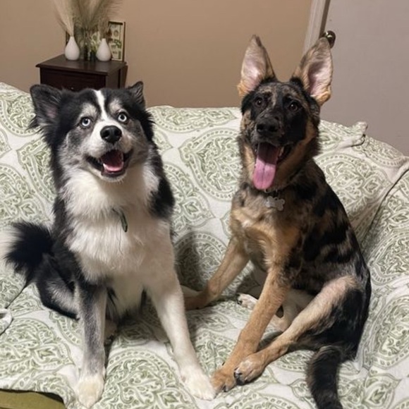 Meet your Posher, Amanda - Picture 3 of 16